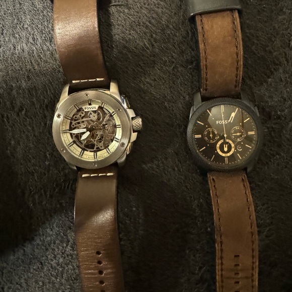 Fossils only the smaller one - Picture 2 of 3